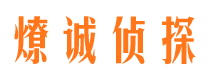 海伦私家调查公司